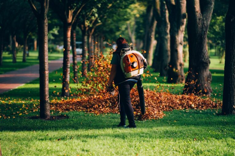 Best Lawn Practices