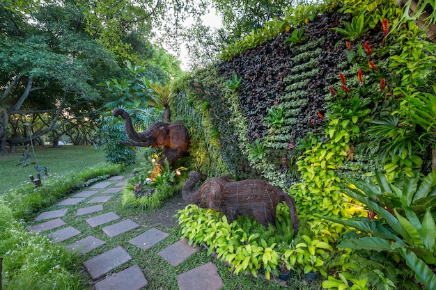 Ideas for Garden Design