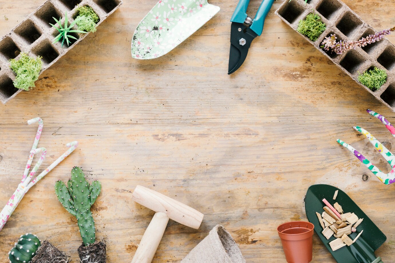 Read more about the article 10 Dynamic Garden Design Ideas to Revolutionize Your Outdoor Space