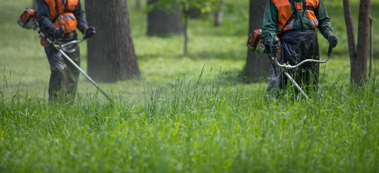 Grass Maintenance