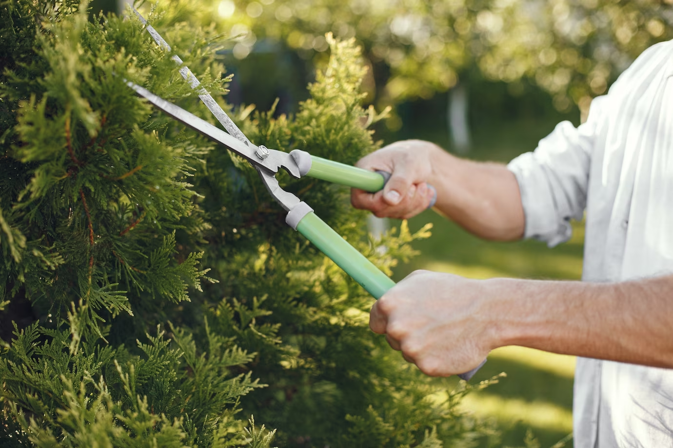 Grass-maintenance