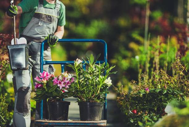 Read more about the article How to Get Clients for Your Landscaping Business