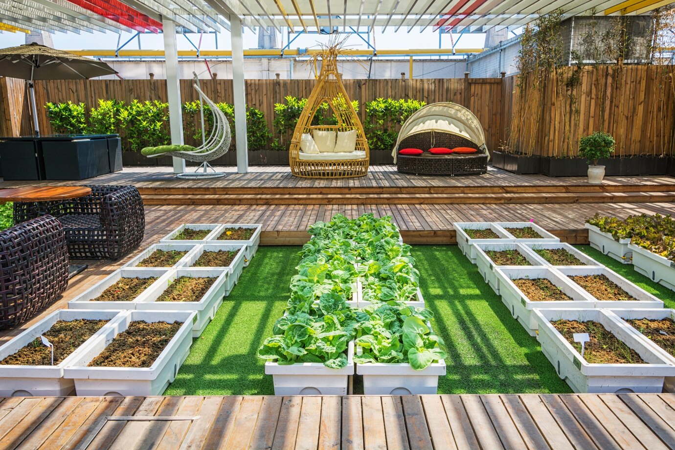 Patio Design Ideas