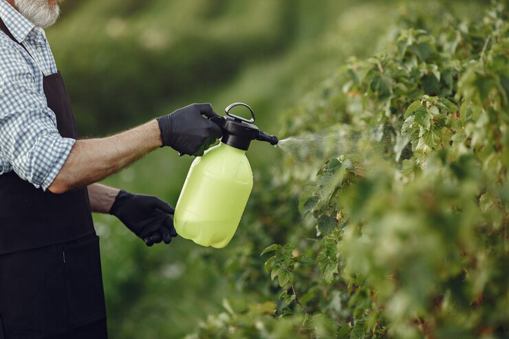 Accepting Natural Approaches to Pest Control