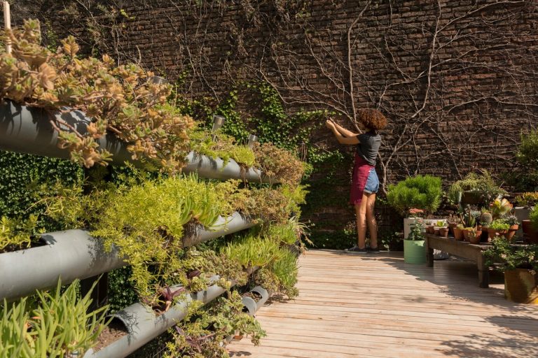 Professional Garden Design