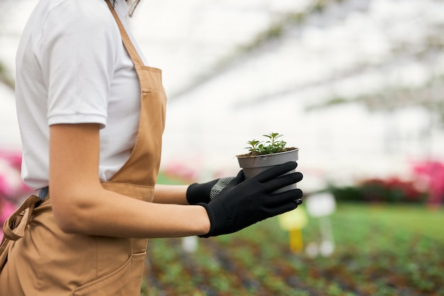 Professional Planting Journey