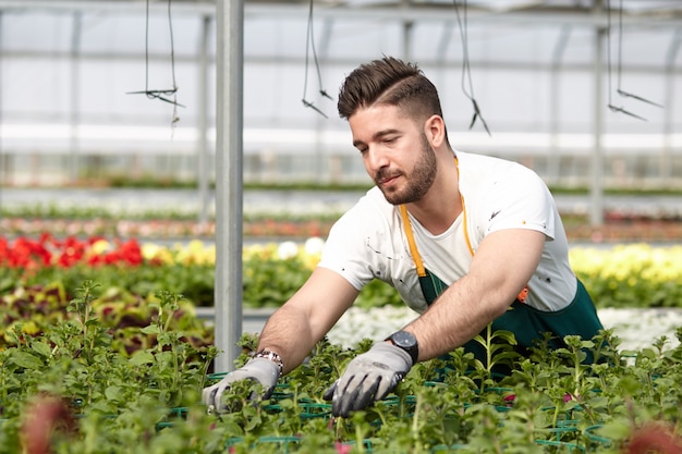 Professional Planting