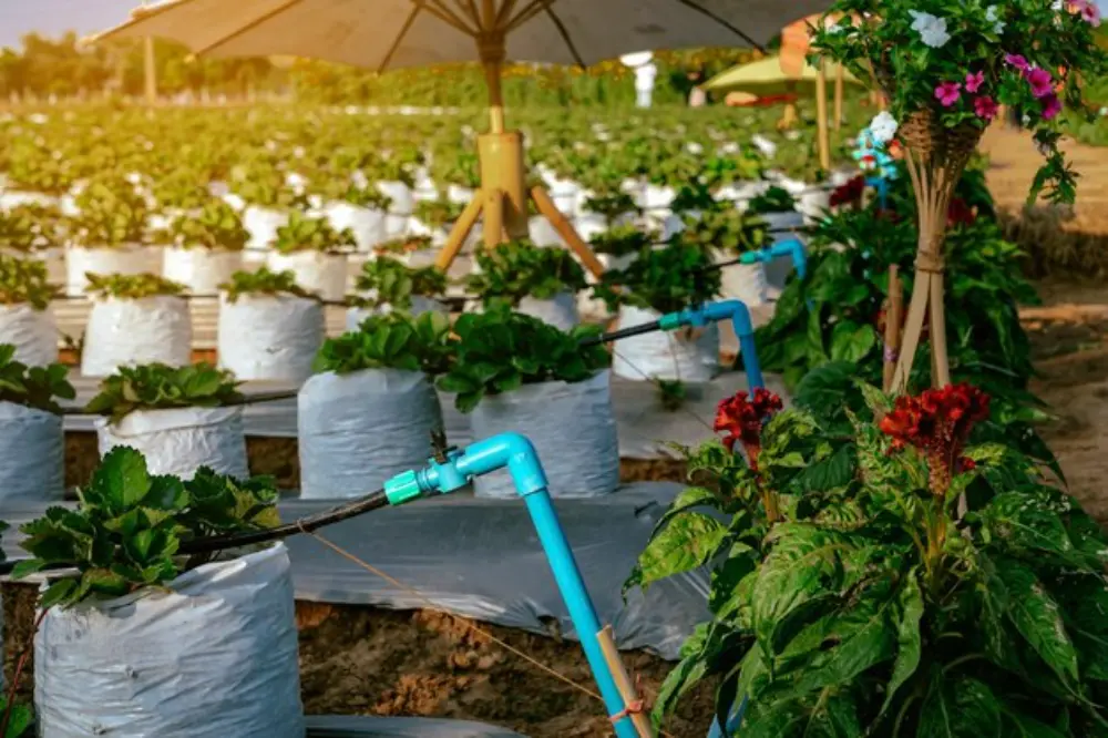 Why Drip Irrigation Systems Matter